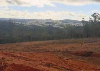 cotia-fica-de-fora-em-nova-edicao-de-ranking-das-cidades-que-cuidam-do-meio-ambiente