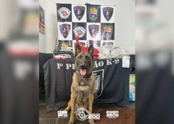 policia-militar-apreende-mais-de-18-kg-de-drogas-em-embu-das-artes