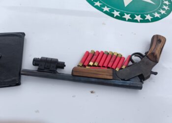 Operação Protetor do Bioma resulta em prisão por porte ilegal de arma de fogo no Cone Sul