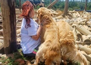 sem-energia,-santuario-animal-em-cotia-passa-dificuldades-e-falta-ate-agua-aos-bichos