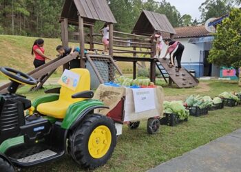 sebrae-realiza-feira-de-empreendedorismo-a-criancas-de-caucaia-do-alto