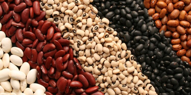 Grão ajuda a regular a glicose e a diminuir a pressão arterial; veja