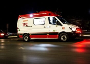 Idosa morre após ataque de três cães pitbulls em Ibiúna