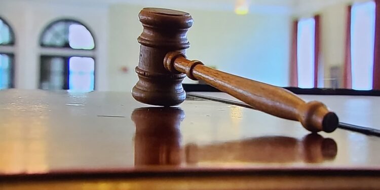 Trump quer retirar a cidadania americana de pessoas que nasceram fora dos EUA