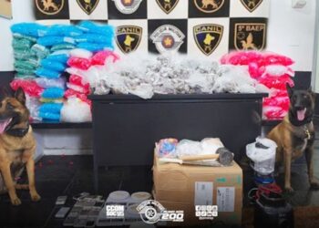 PM apreende mais de 24 quilos de drogas em Embu das Artes