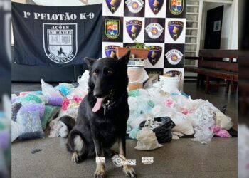 pm-apreende-quase-95-kg-de-drogas-em-favela-na-regiao