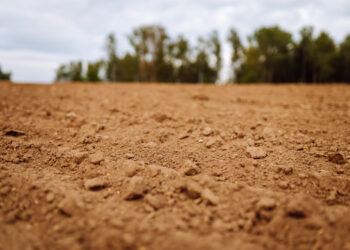 Juiz nega reintegração de posse de terreno ocupado há mais de 20 anos