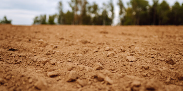 Juiz nega reintegração de posse de terreno ocupado há mais de 20 anos