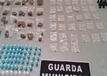 GCM de Vargem Grande apreende drogas no Parque do Agreste