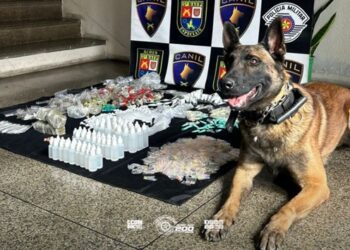 Cão da PM localiza mais de 6 quilos de drogas dentro de favela na região
