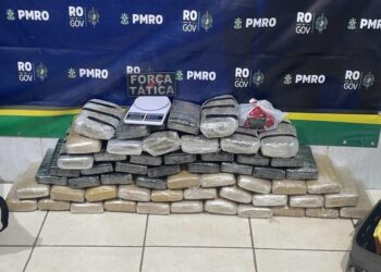 Força Tática retira de circulação cerca de 57 kg de maconha