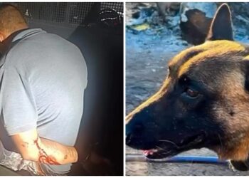 criminoso-com-varias-passagens-pela-justica-e-preso-no-capuava