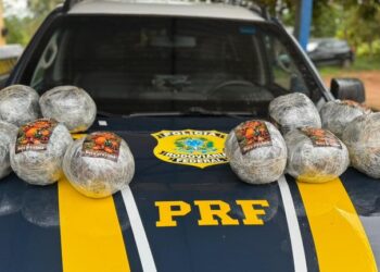 Passageiro é preso com quase 11 quilos de skunk durante fiscalização da PRF na BR-425