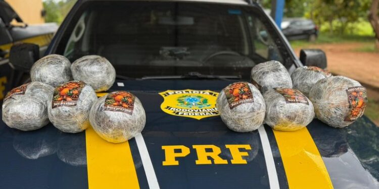 Passageiro é preso com quase 11 quilos de skunk durante fiscalização da PRF na BR-425