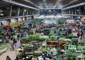 confira-os-horarios-de-funcionamento-da-ceagesp-no-carnaval