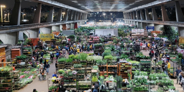 Confira os horários de funcionamento da Ceagesp no Carnaval