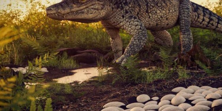 86 milhões de anos: ovos de ancestrais de crocodilos são achados em SP
