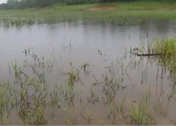 Com últimas chuvas, nível da represa de Cotia ultrapassa os 50%