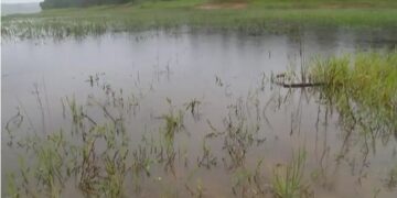 Com últimas chuvas, nível da represa de Cotia ultrapassa os 50%