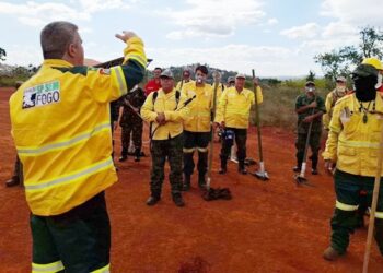 governo-de-sp-abre-inscricoes-para-brigadistas-com-vagas-em-cotia
