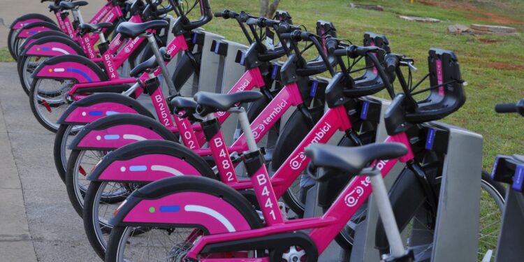 19 votos aprovam a implantação de estações de bicicletas públicas em Ribeirão Preto