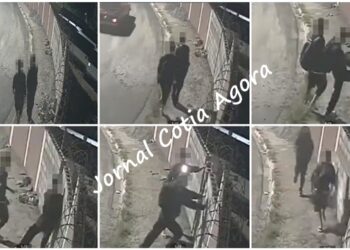 Vândalos derrubam muro recém reformado de condomínio de Cotia