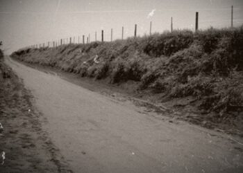 “Contos & Causos de Cotia”: As corridas de cavalos nas raias da cidade