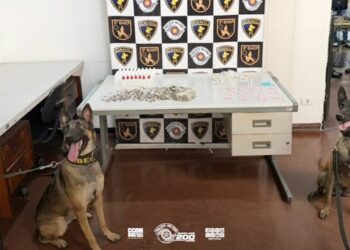 pm-apreende-mais-de-4-kg-de-drogas-durante-operacao-no-jardim-rosemeire