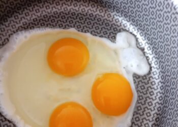 Jaru: Internauta registra ovo com três gemas e se surpreende com o caso