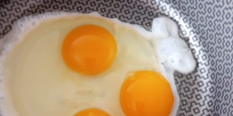 Jaru: Internauta registra ovo com três gemas e se surpreende com o caso