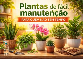 9 plantas perfeitas para quem não tem tempo (e não quer trabalho)