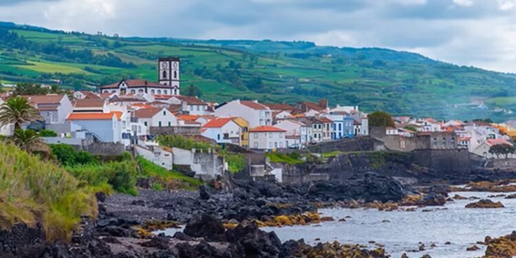 Mini tornado causa estragos em estufas