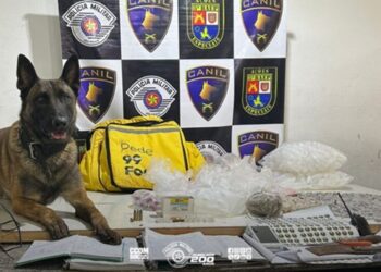 PM apreende drogas, munições e medicamentos no limite de Itapevi e Vargem Grande