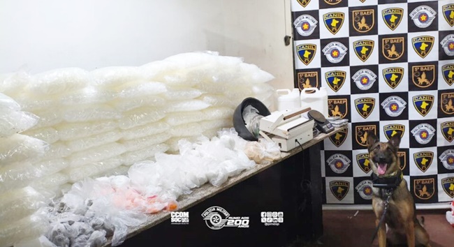 Baep e Canil apreendem mais de 18 quilos de drogas no limite de Itapevi com Cotia
