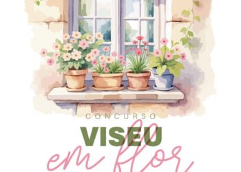 “Viseu em Flor” desafia moradores a decorar o centro histórico com prémios até 350 euros