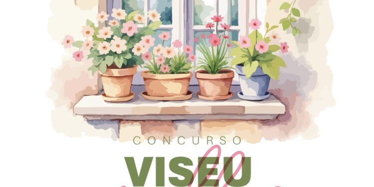 “Viseu em Flor” desafia moradores a decorar o centro histórico com prémios até 350 euros