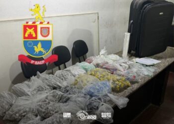 traficante-e-flagrado-com-mais-de-2-mil-porcoes-de-maconha-na-regiao