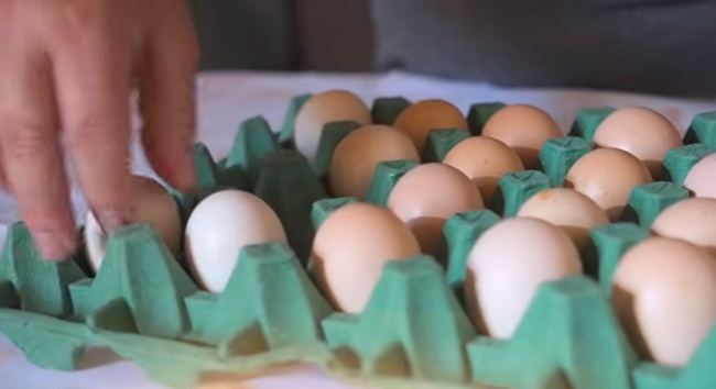 teia-agroecologica-fortalece-produtores-em-vargem-grande-paulista