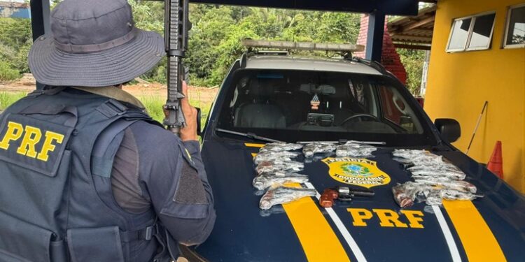 Polícia Rodoviária Federal apreende 14 armas em ônibus na BR 364