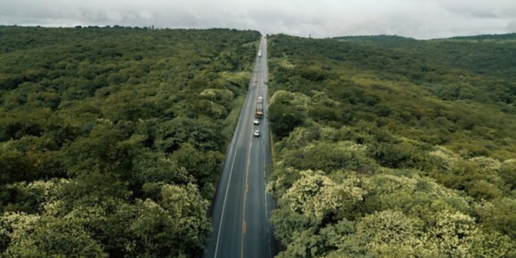 EcoRodovias vence leilão da Rota das Gerais com desconto de 19%