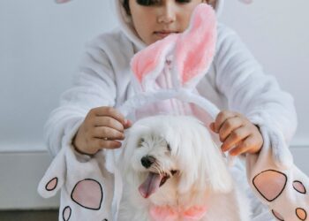Páscoa: veterinária revela como incluir os pets nas tradições da data