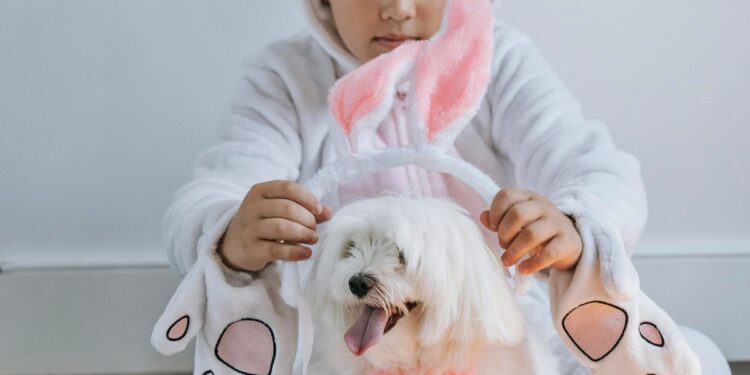 Páscoa: veterinária revela como incluir os pets nas tradições da data
