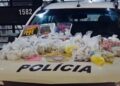 Mais de 3 mil porções de drogas são apreendidas pela PM na região