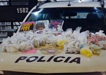 Mais de 3 mil porções de drogas são apreendidas pela PM na região