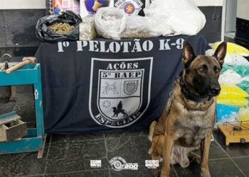 pm-apreende-mais-de-70-kg-de-drogas-em-favela-de-embu-das-artes