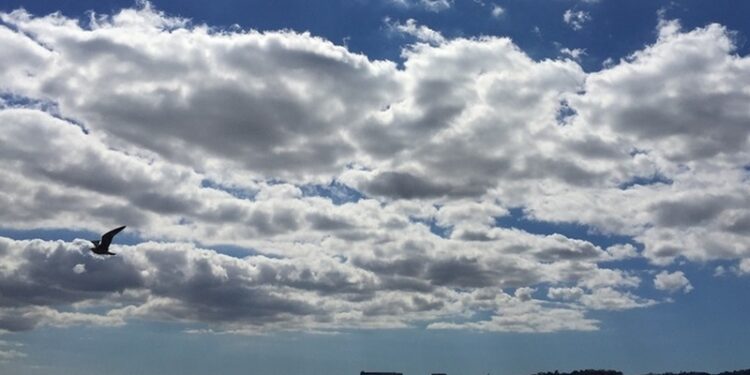 Domingo com nuvens no litoral e possibilidade de trovoada no interior