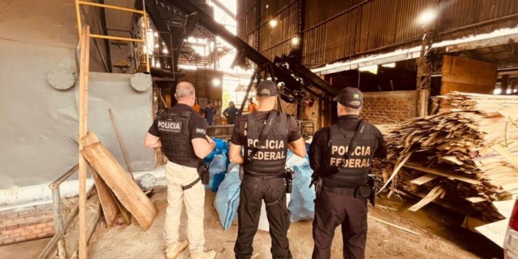 Ação Integrada Desmonta Ponto de Distribuição de Drogas em Porto Velho