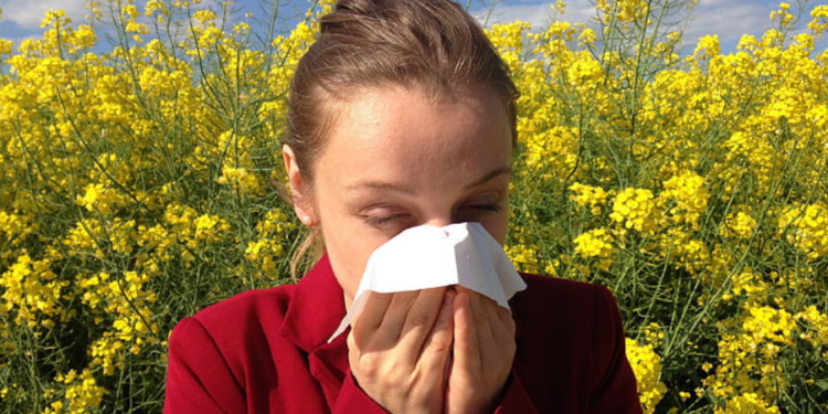 EUA registram alta nos níveis de pólen; veja quais cidades entram em alerta