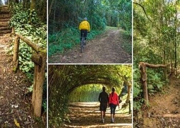 Parque Cemucam desmente boatos que circulam em redes sociais