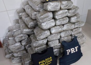 Carga de 180 kg de skank é interceptada na BR-364, em Cacoal; droga era transportada em uma caminhonete